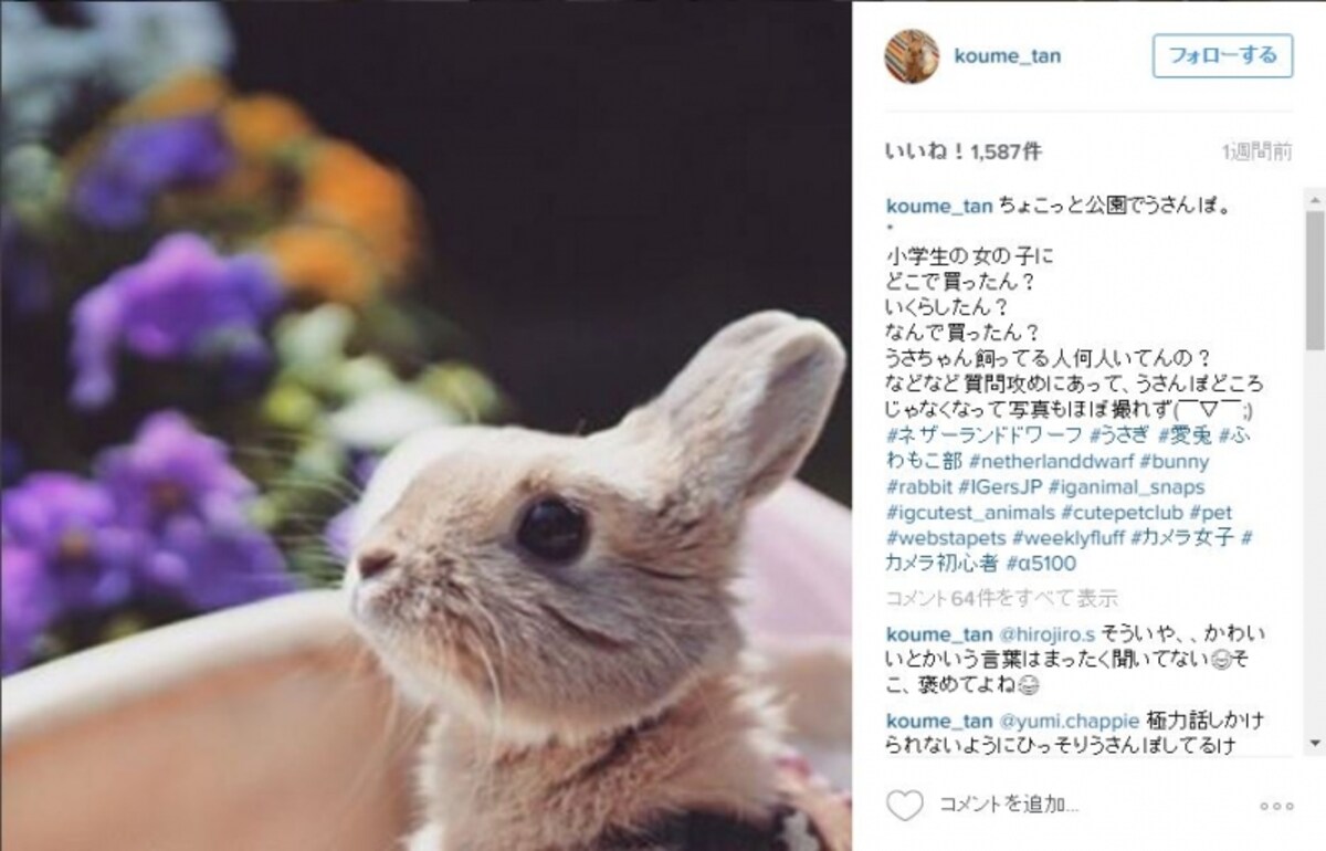 https://www.instagram.com/p/BEzzHIHDSIS/?taken-by=koume_tan