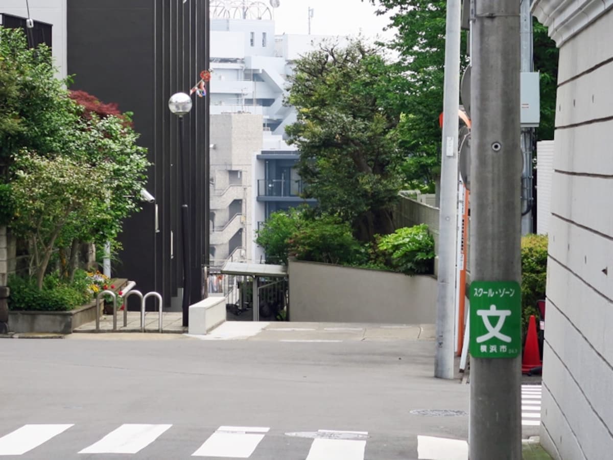 慣れない足取りで犬と散歩し始めたシーンも「横浜迎賓館」前(2016年5月2日撮影)