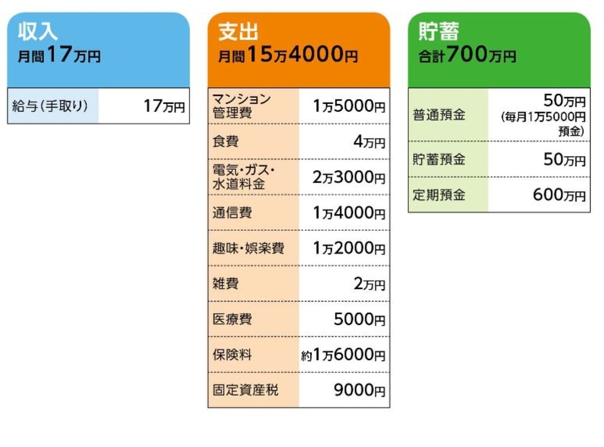 「みさみさ」さんの家計収支データ