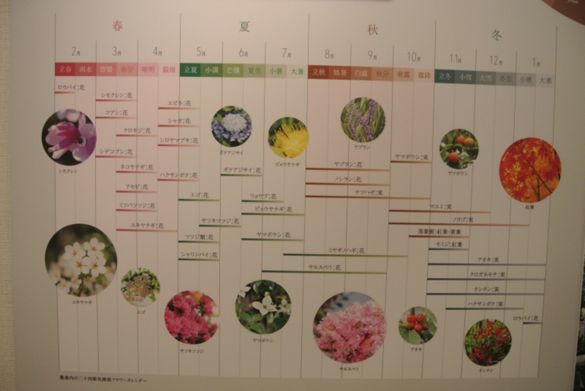 「ザ・パークハウス 東戸塚レジデンス」敷地に植えられる四季の草花（モデルルームのプレゼンテーション）