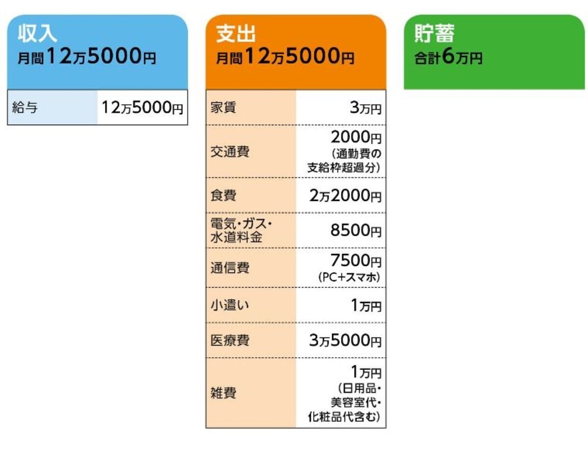 「月と星」さんの家計収支データ