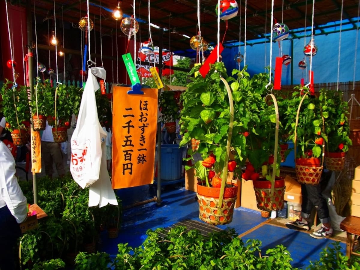 ほおずき市