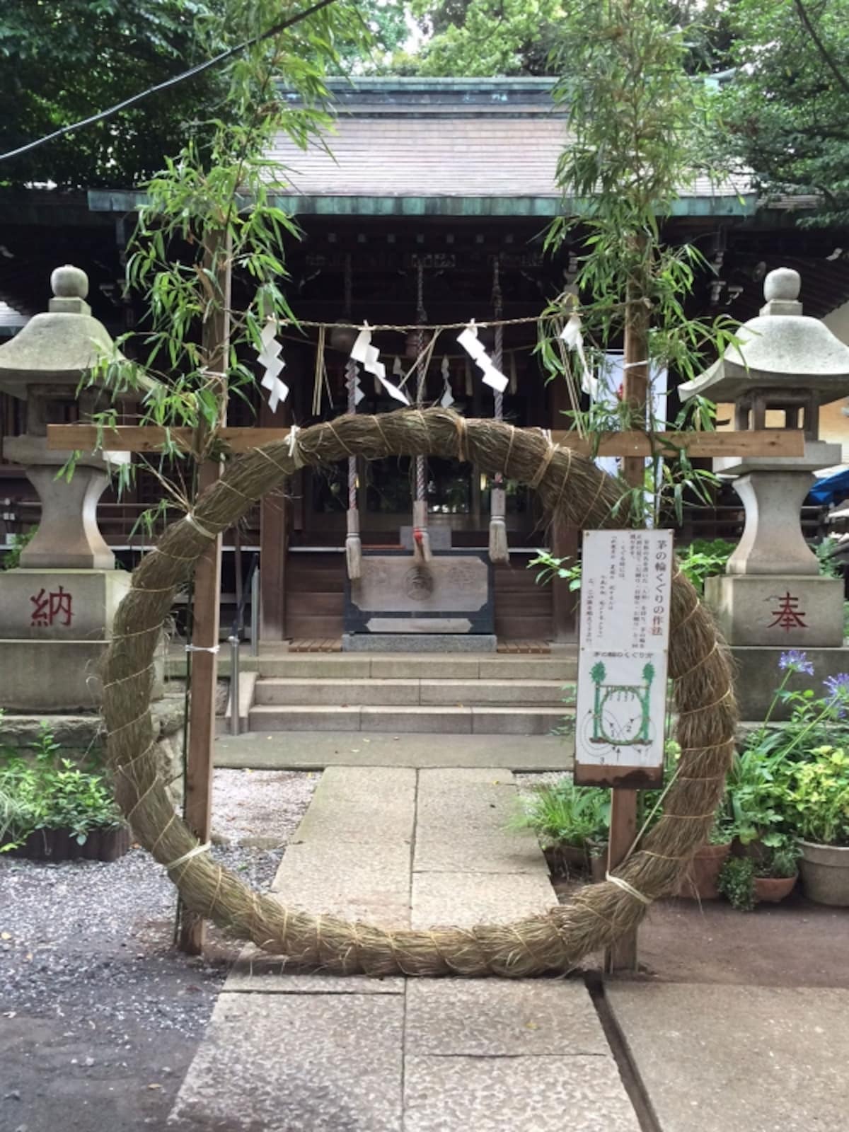 茅の輪くぐりを夏越の祓に