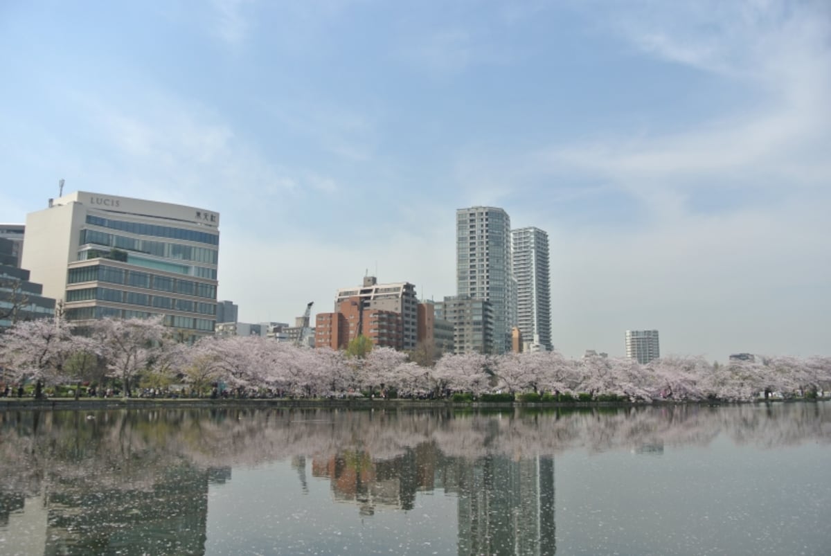 「Brillia Tower 上野池之端」の建設地