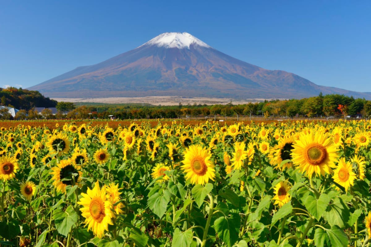 山の日とは、由来・意味