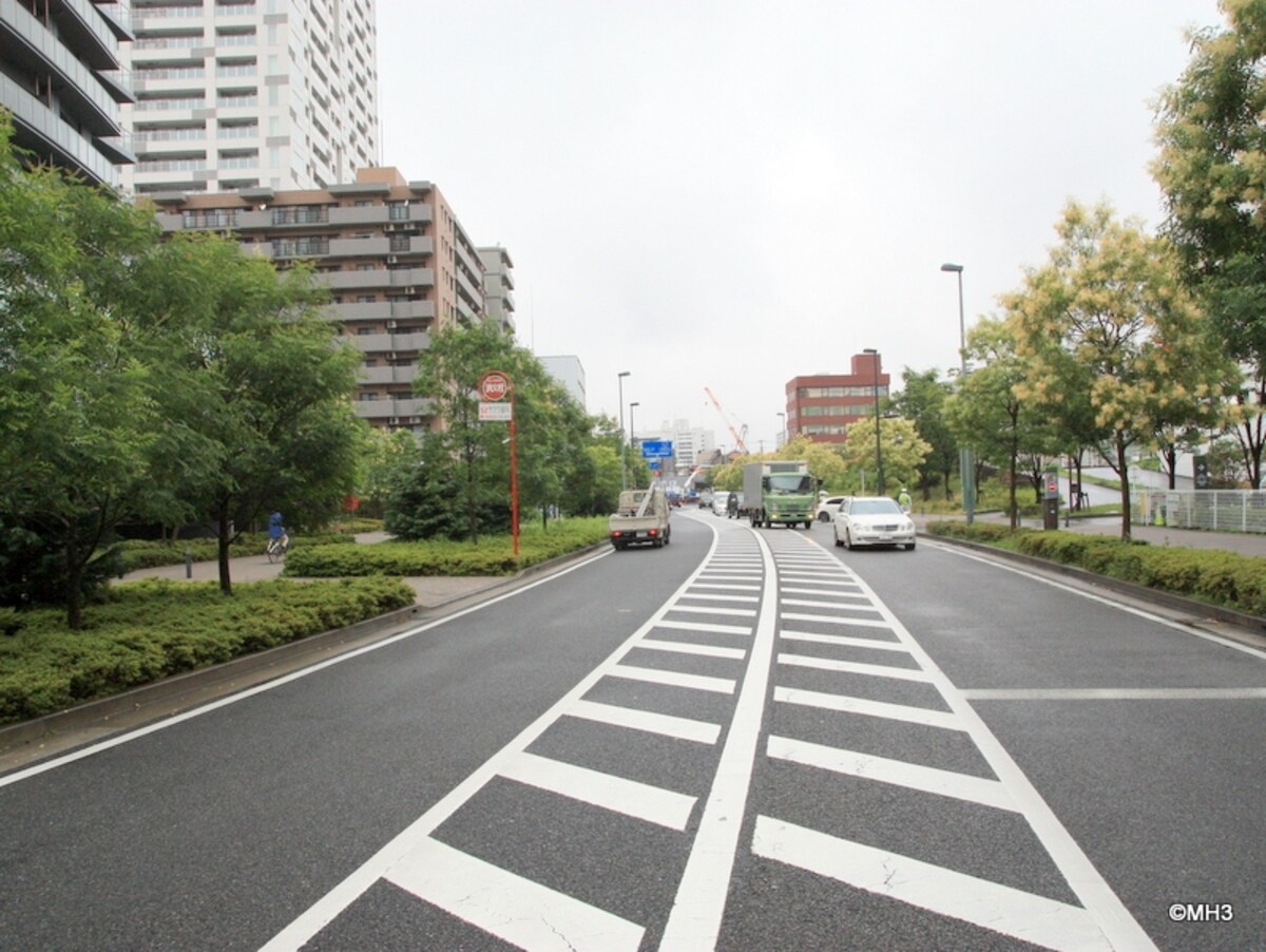 正面が現地
