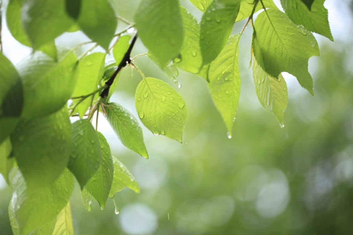 6月