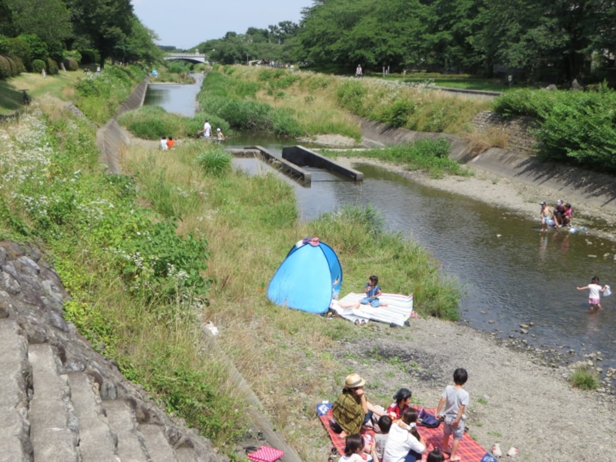 南浅川