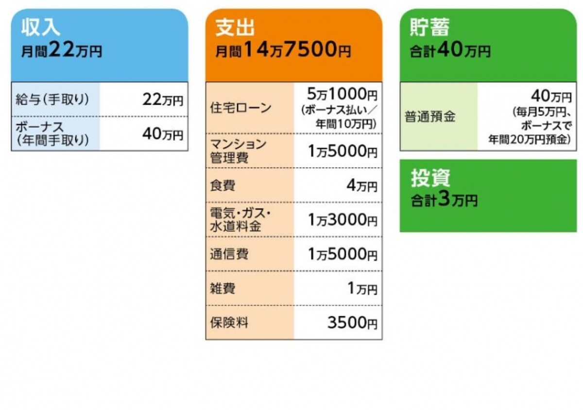 「Mira」さんの家計収支データ