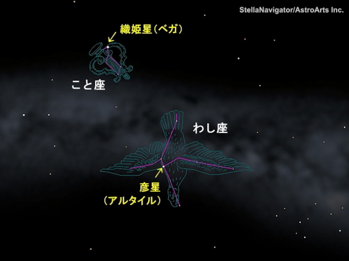 七夕の星座