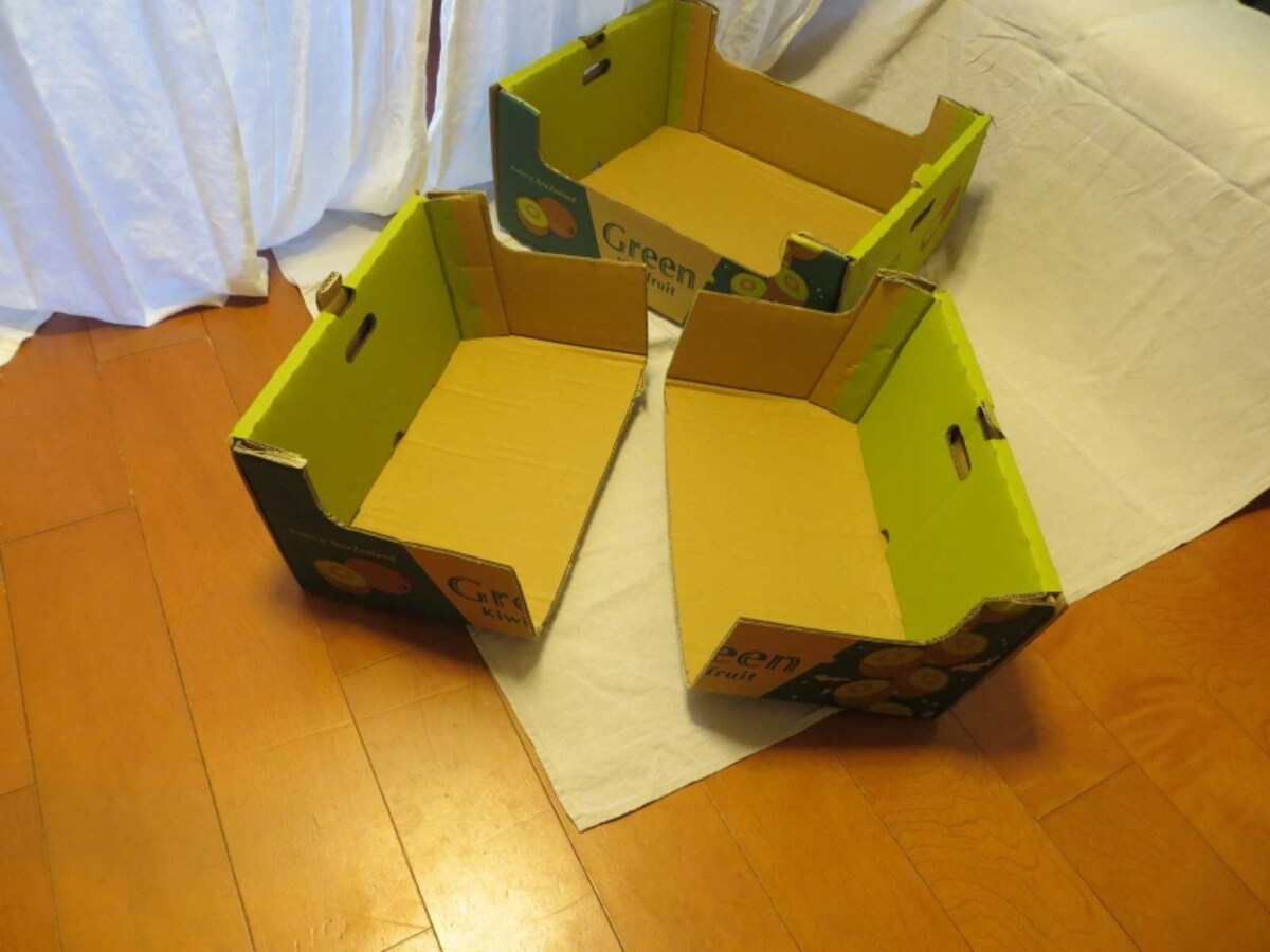 キウィカット