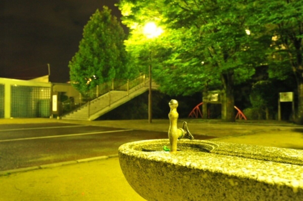 夜の公園