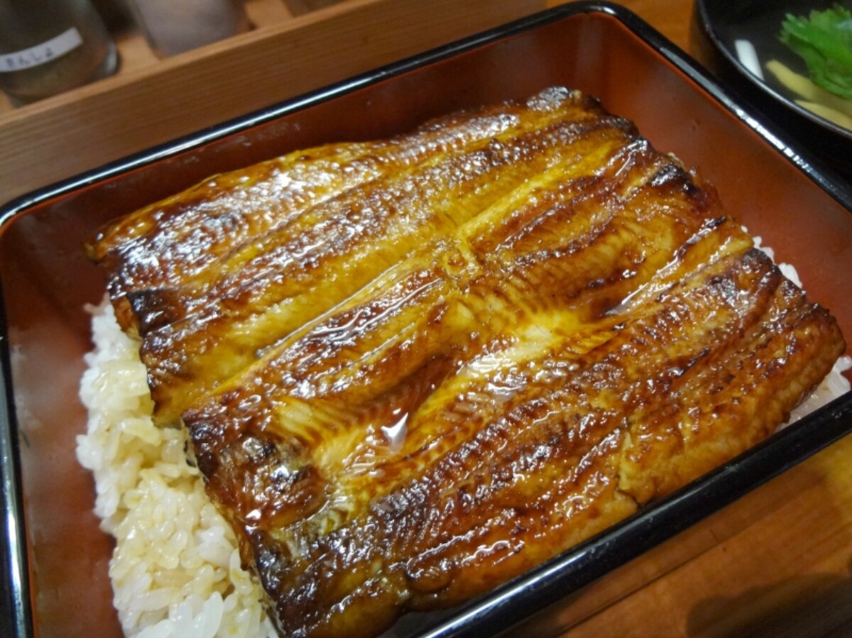 活鰻の店 つぐみ庵 生蒸しのうな重