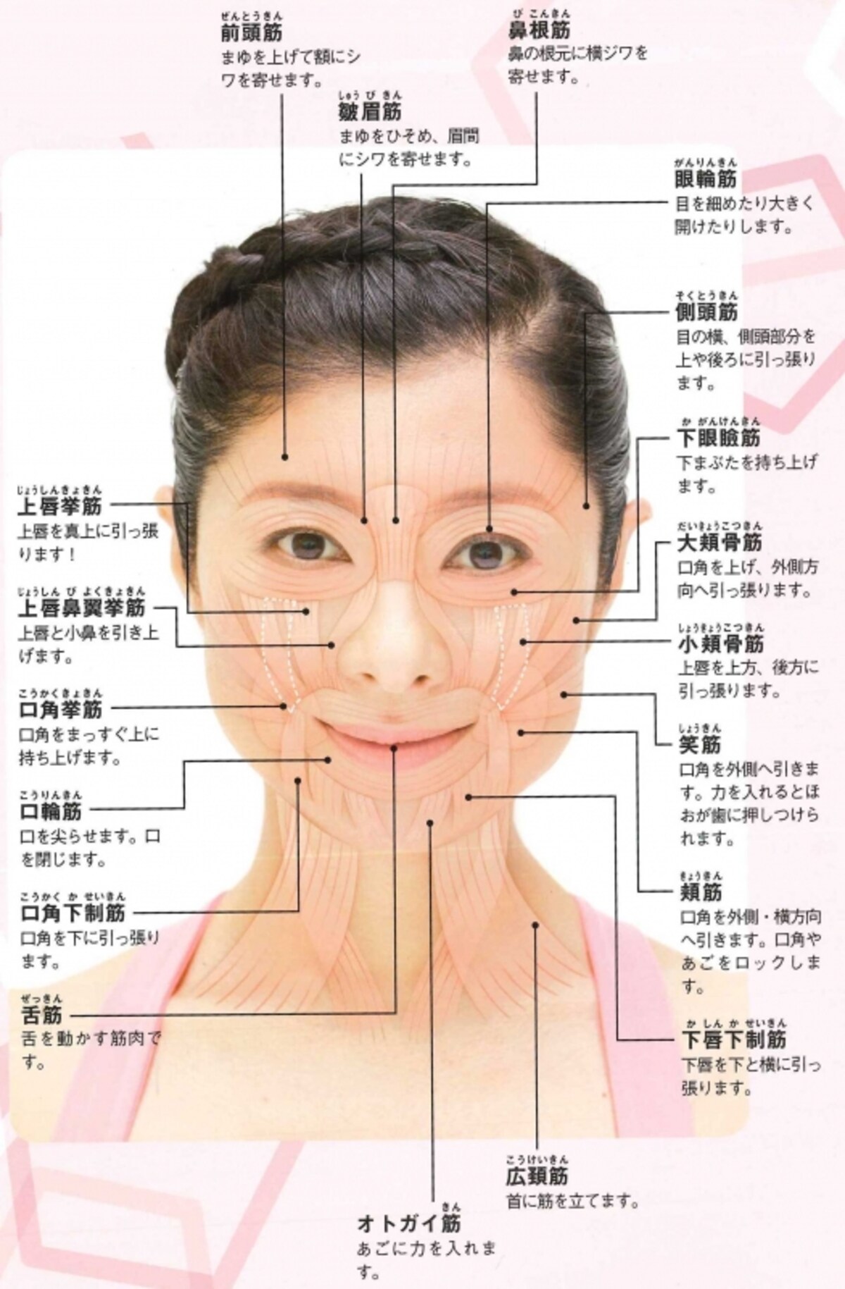 気になる悩みを解消するために、どの顔筋を鍛える？