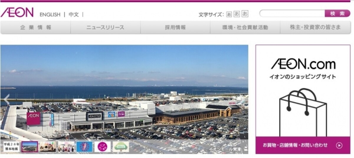 イオン　WEB