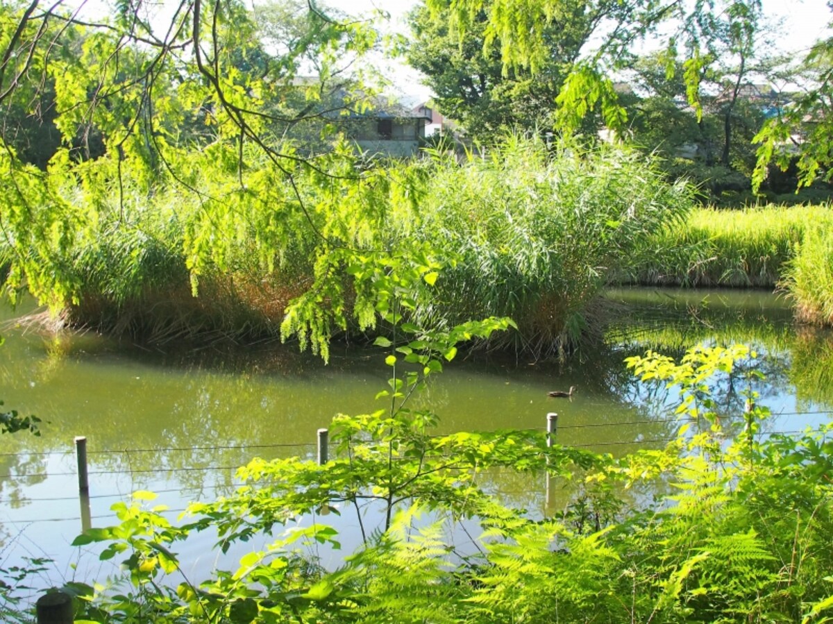 四季を通じて楽しめる公園だ