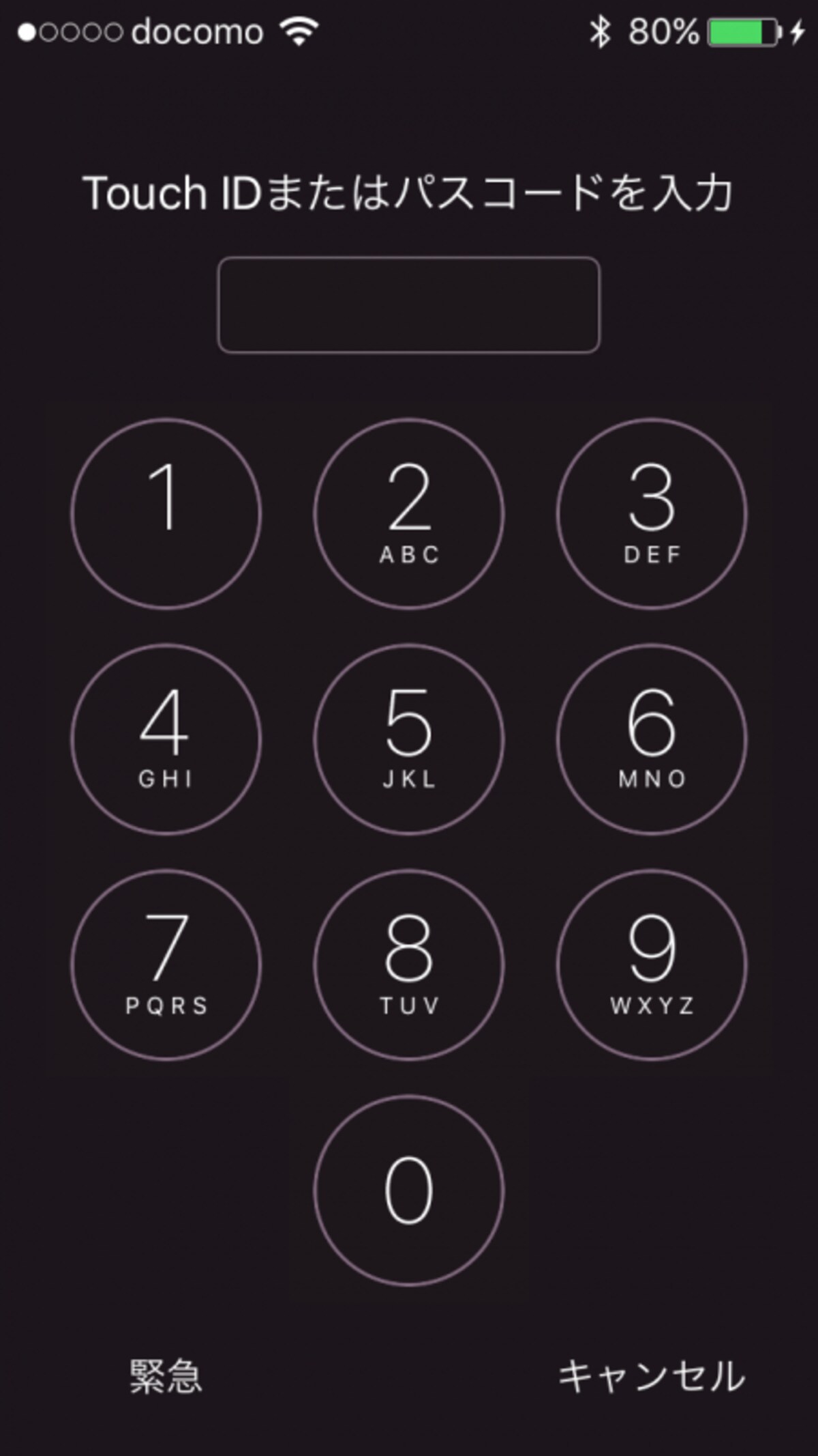 iPhone,パスコード