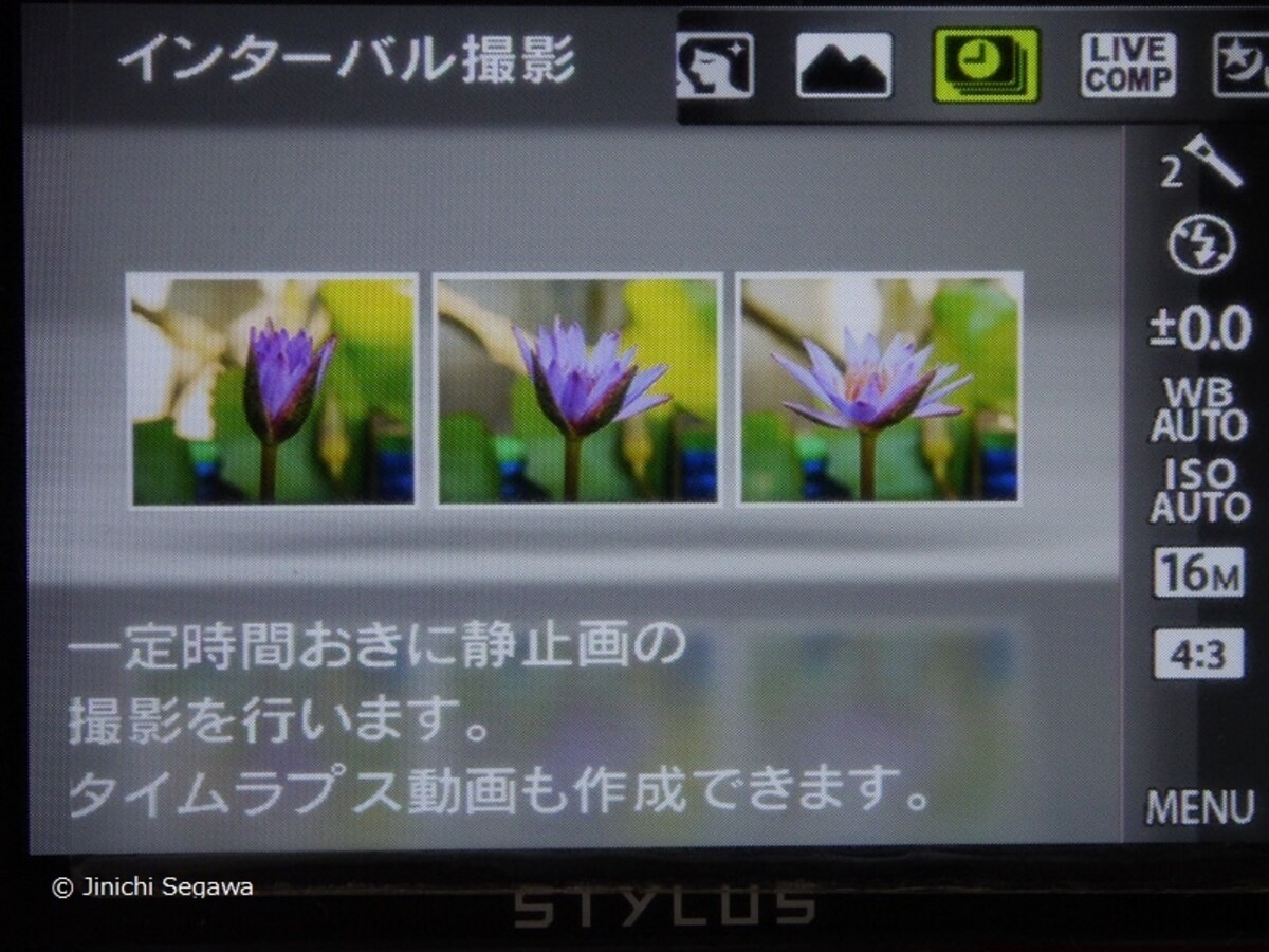コマ撮りムービー