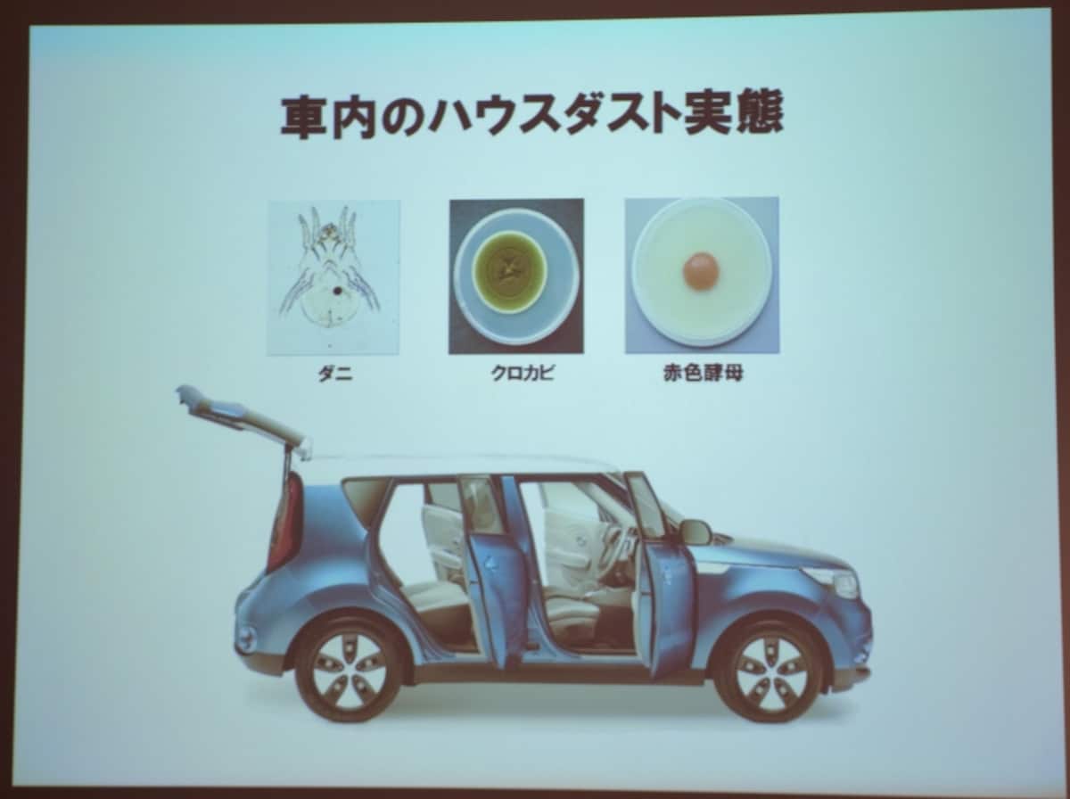 カビやダニは車内にもいる