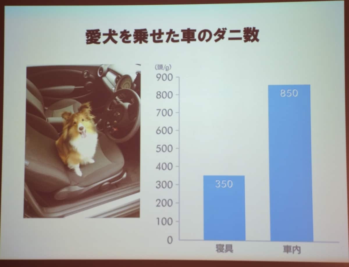愛犬が載っている車はダニの数が寝具を上回ることも