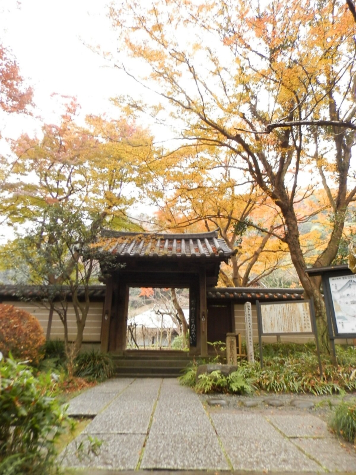 瑞泉寺の紅葉
