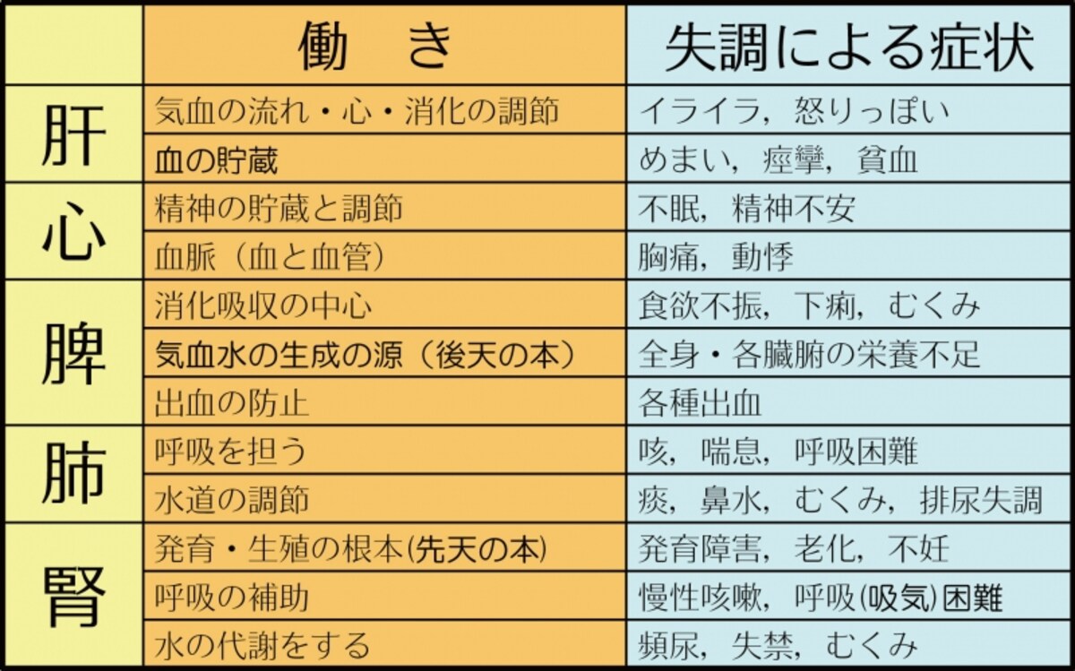 五臓六腑