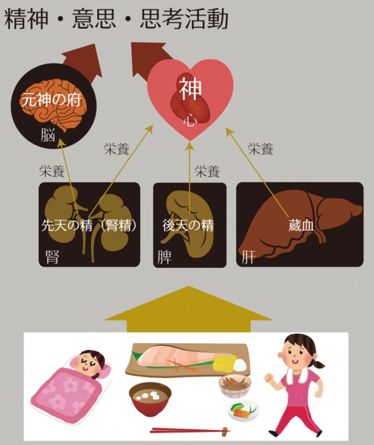 精神、意思、思考