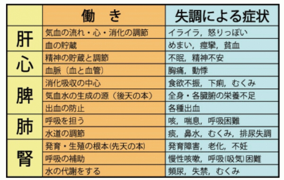 五臓六腑