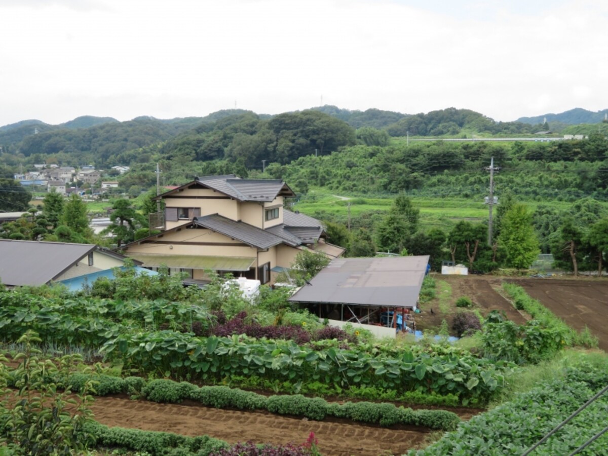 自然の風景