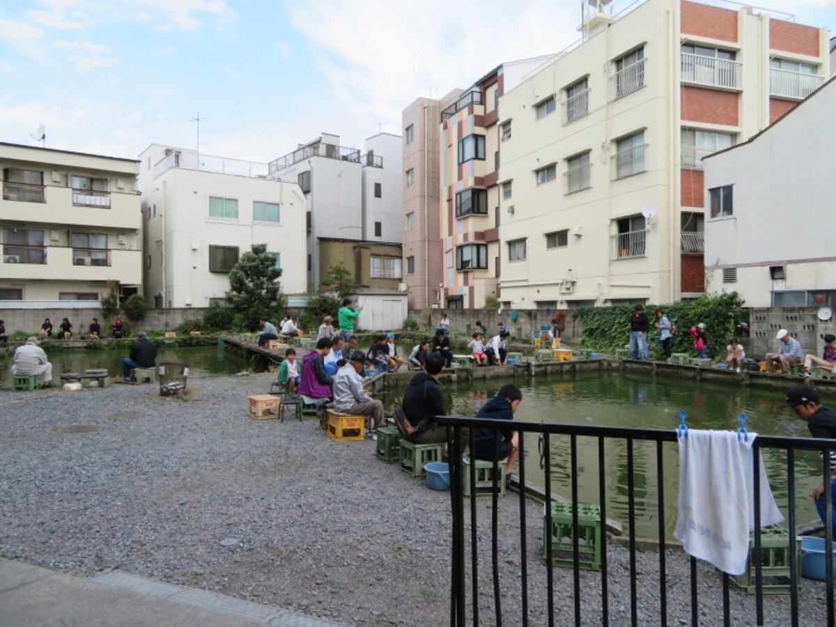 釣り堀