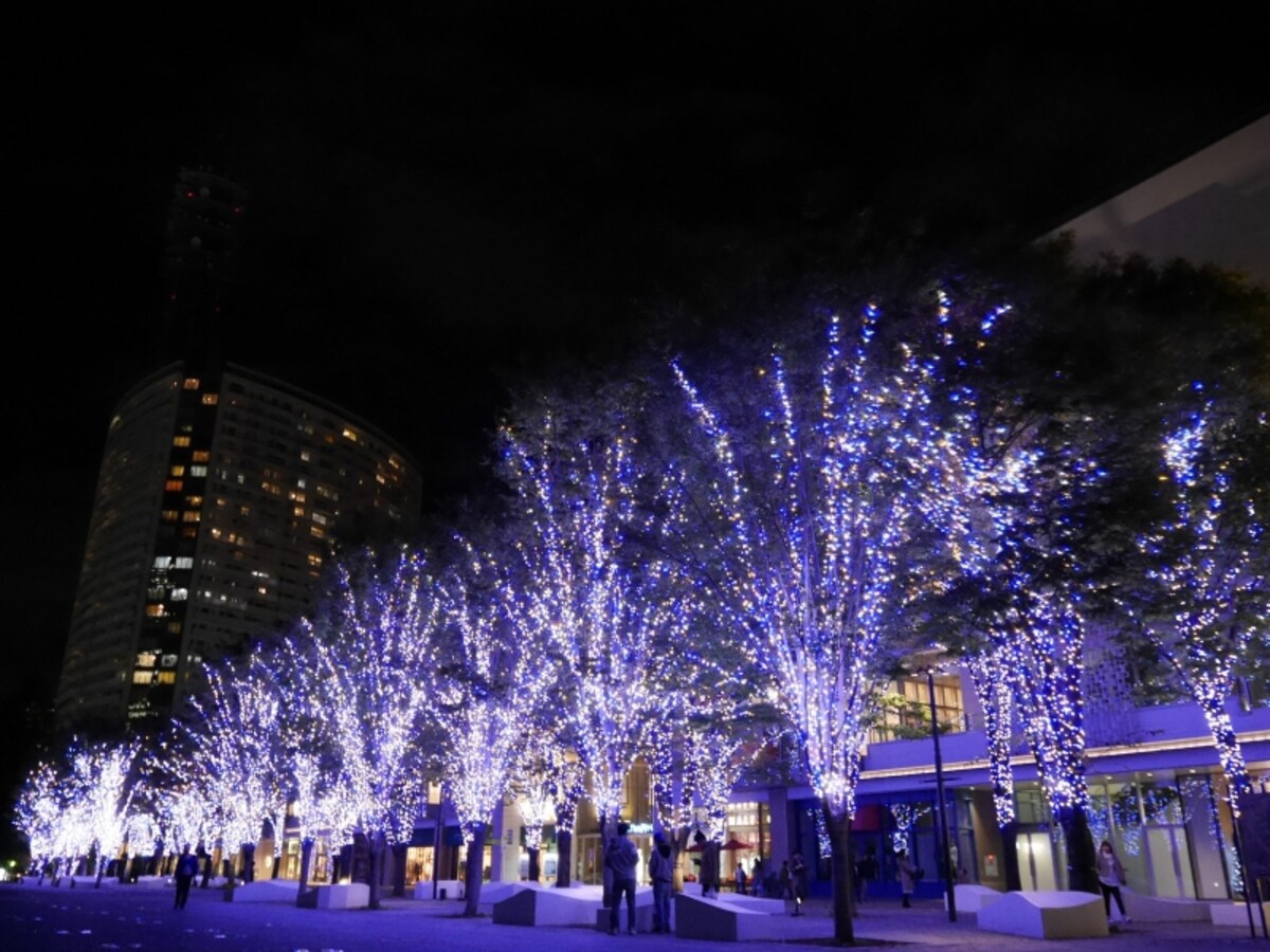 グランモール公園ケヤキ並木のイルミネーション。みなとみらいエリア最大級となる役20万球のLEDを使用（2016年11月9日撮影）