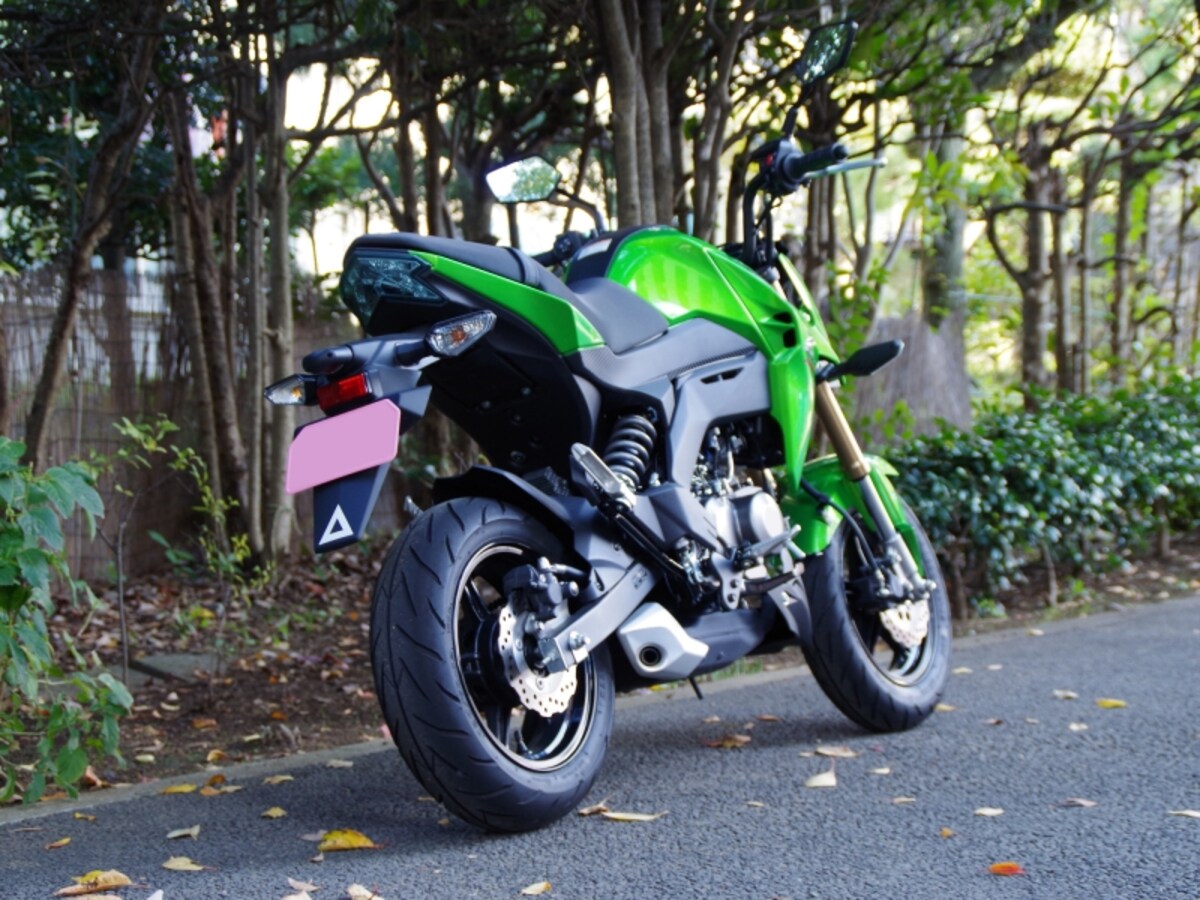 Z125　リアビュー