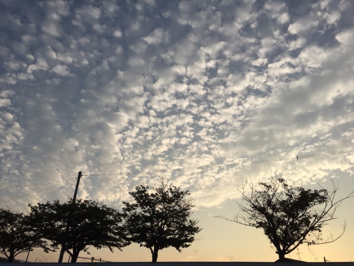 いわし雲が出たときは
