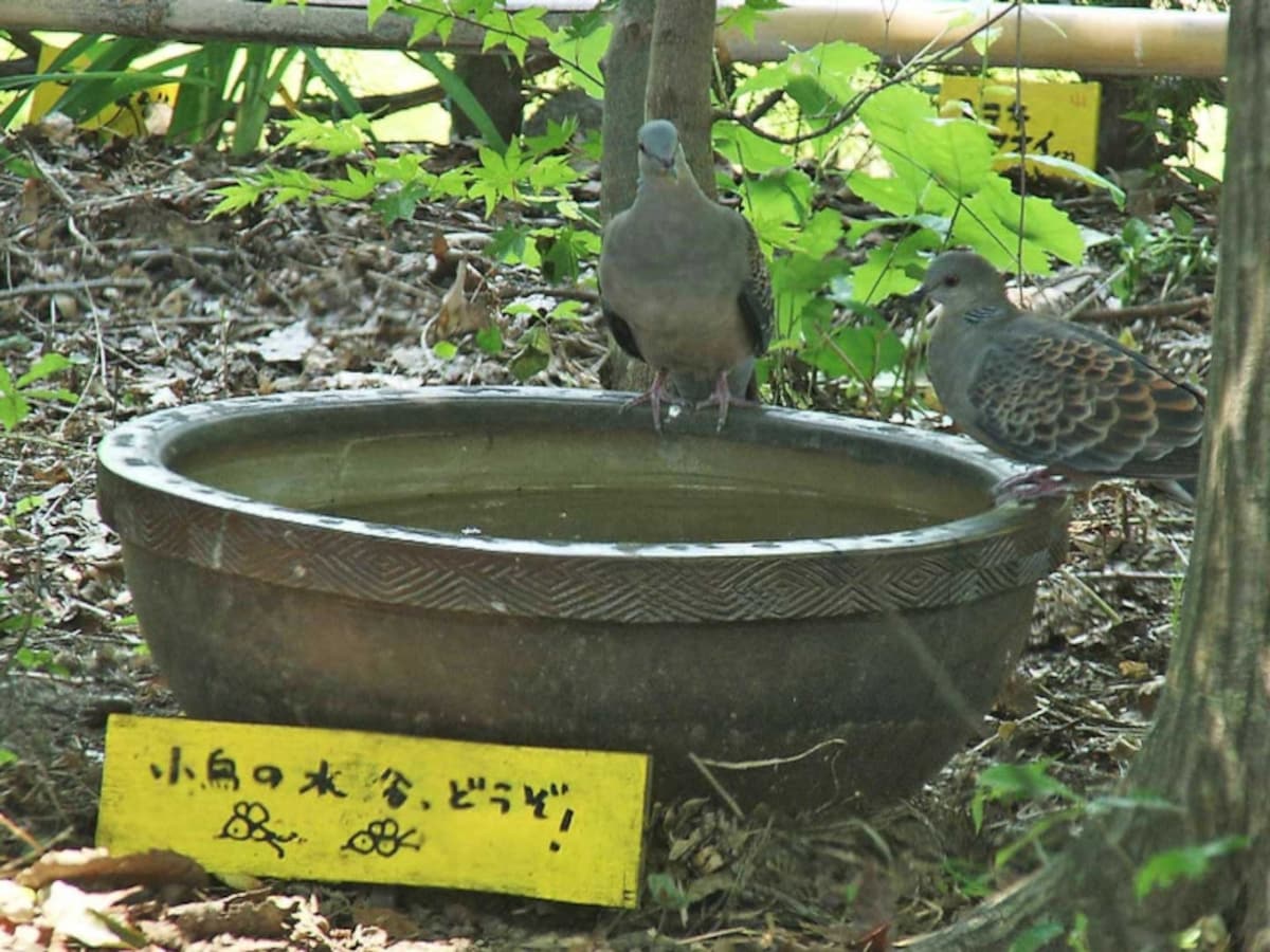 水飲み場