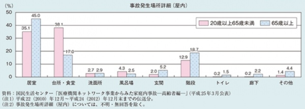 （出典元）平成28年版高齢社会白書より（クリックすると拡大表示されます）