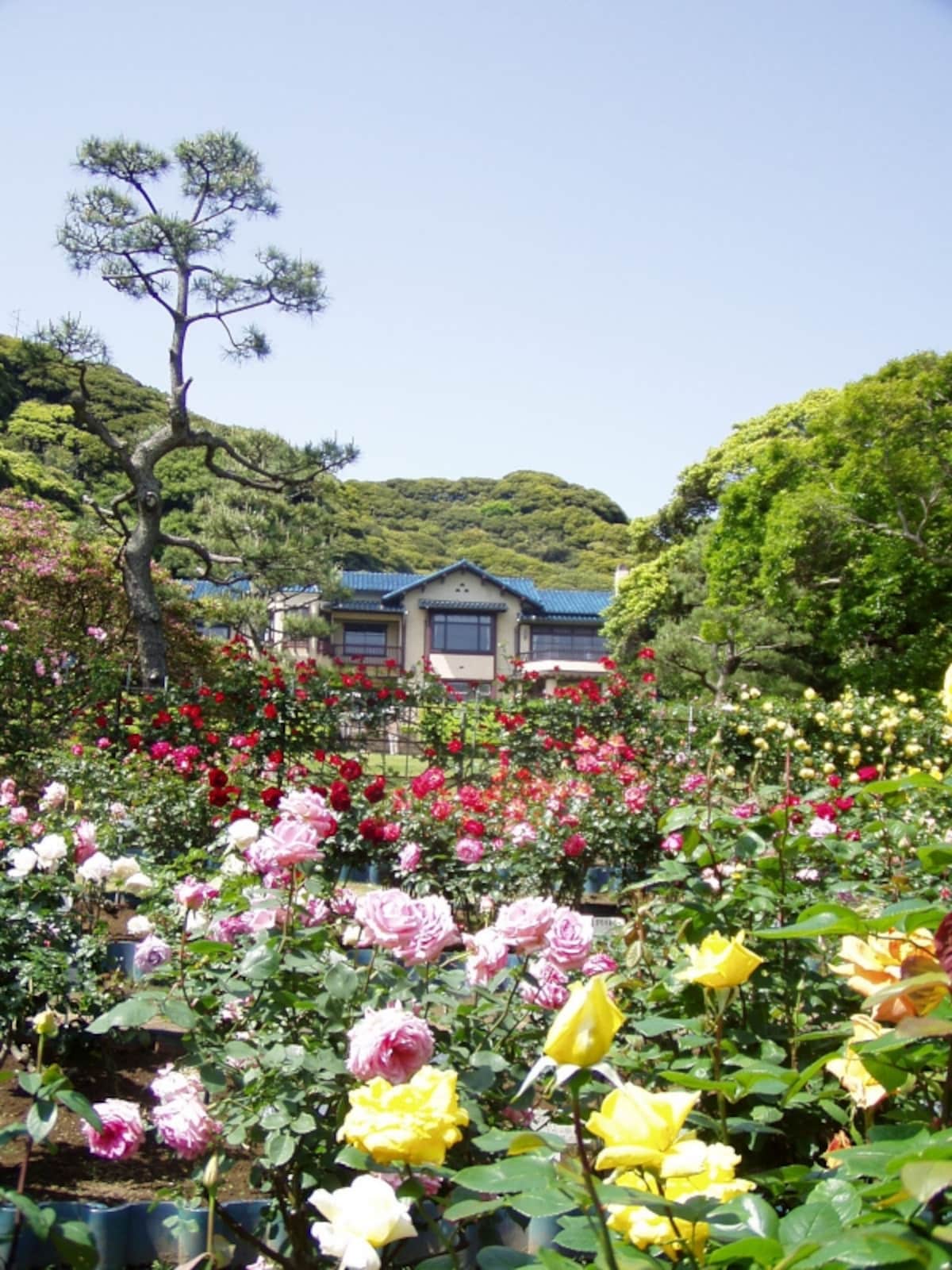 鎌倉文学館