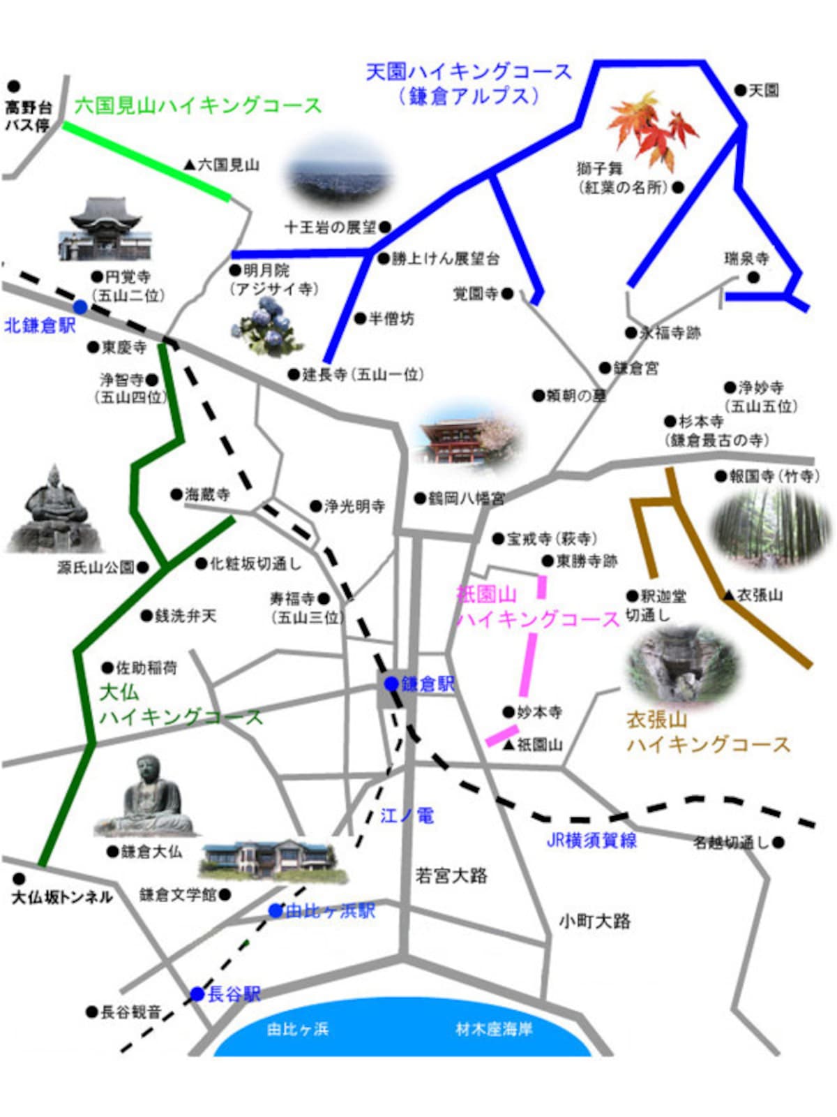 葛原ヶ岡(くずはらがおか)・大仏ハイキングコースは緑色のルート　出典：鎌倉紀行