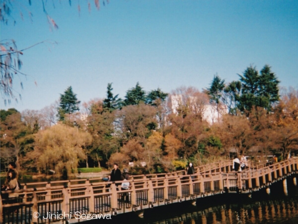 写ルンです
