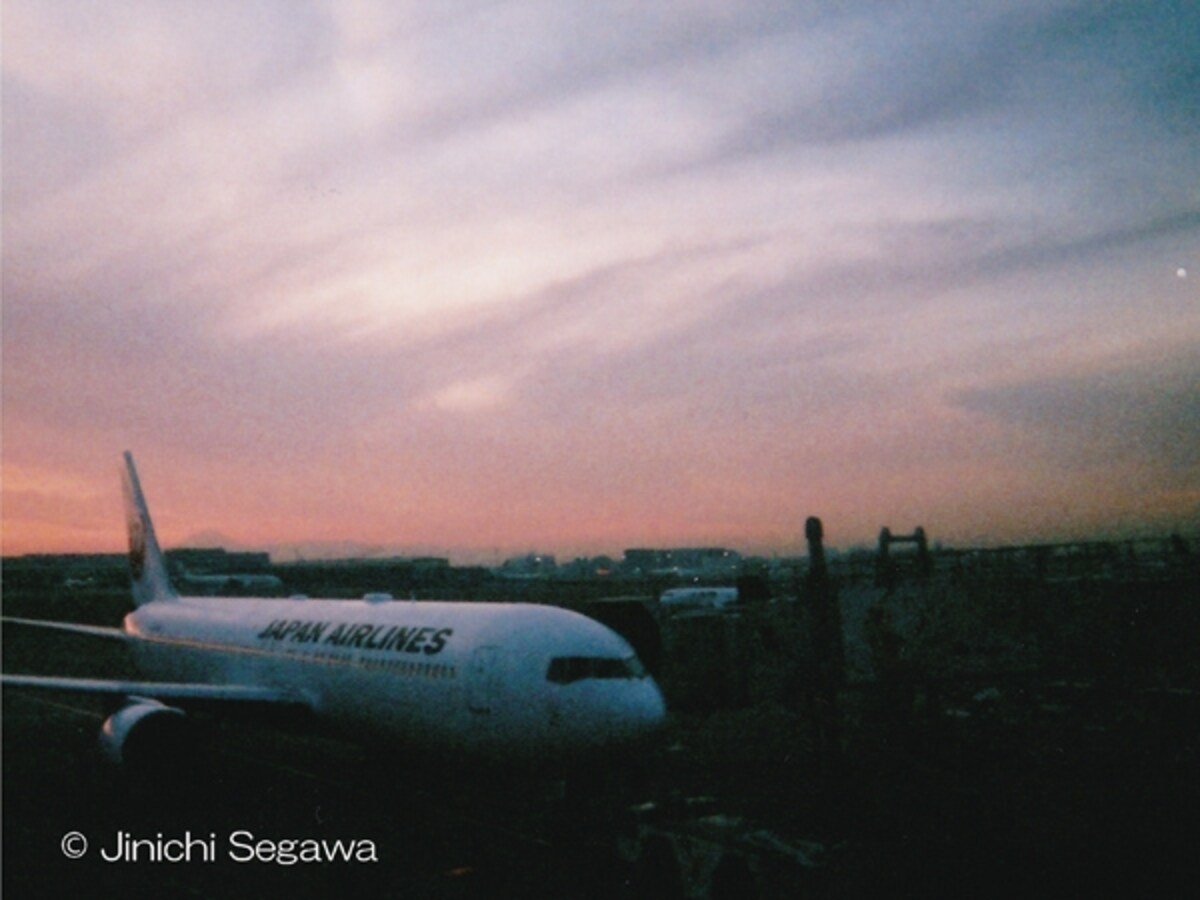 写ルンです