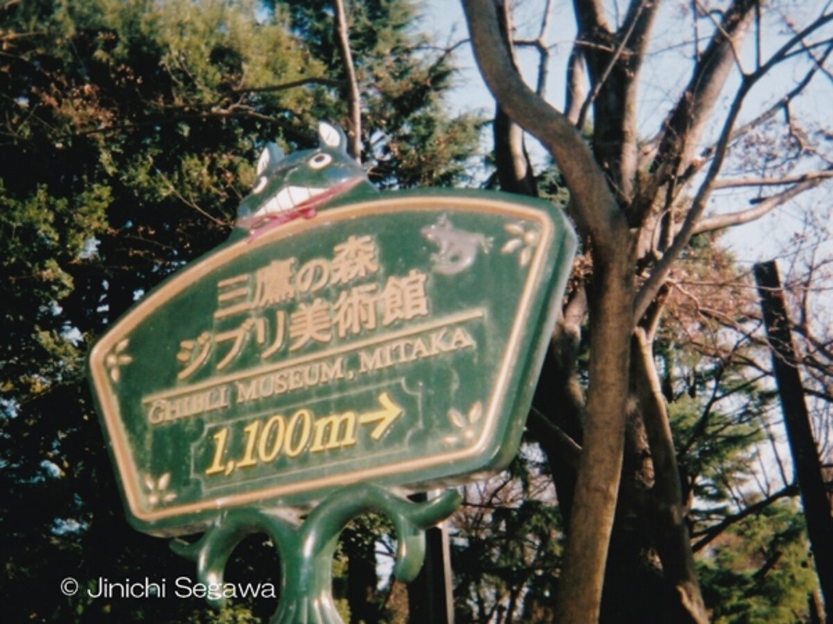 写ルンです