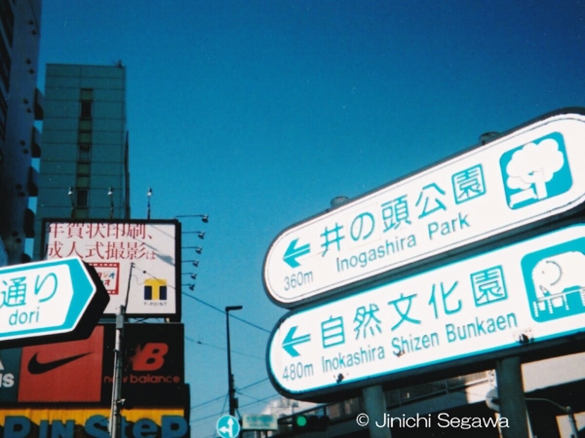 写ルンです