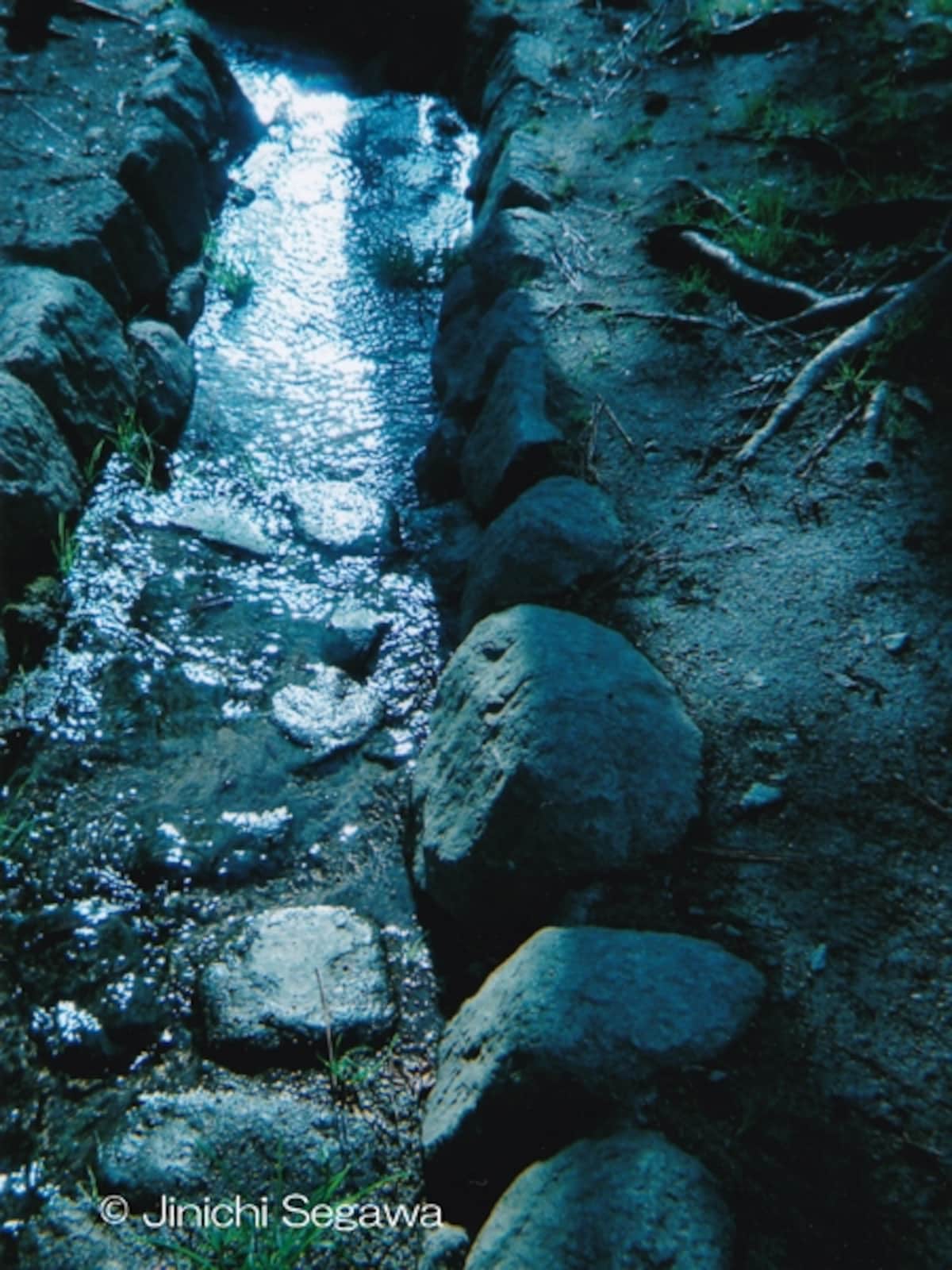 写ルンです