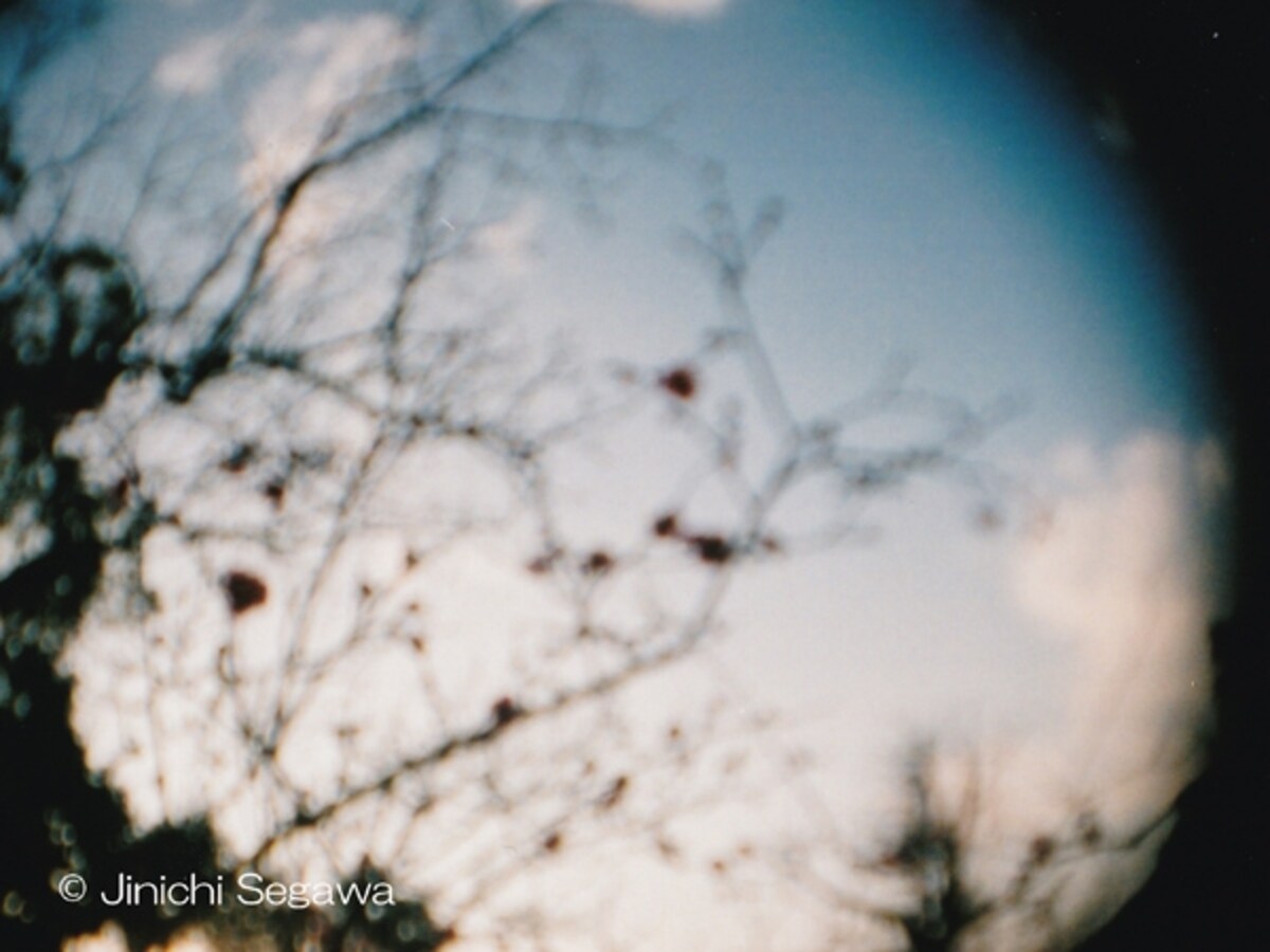 写ルンです