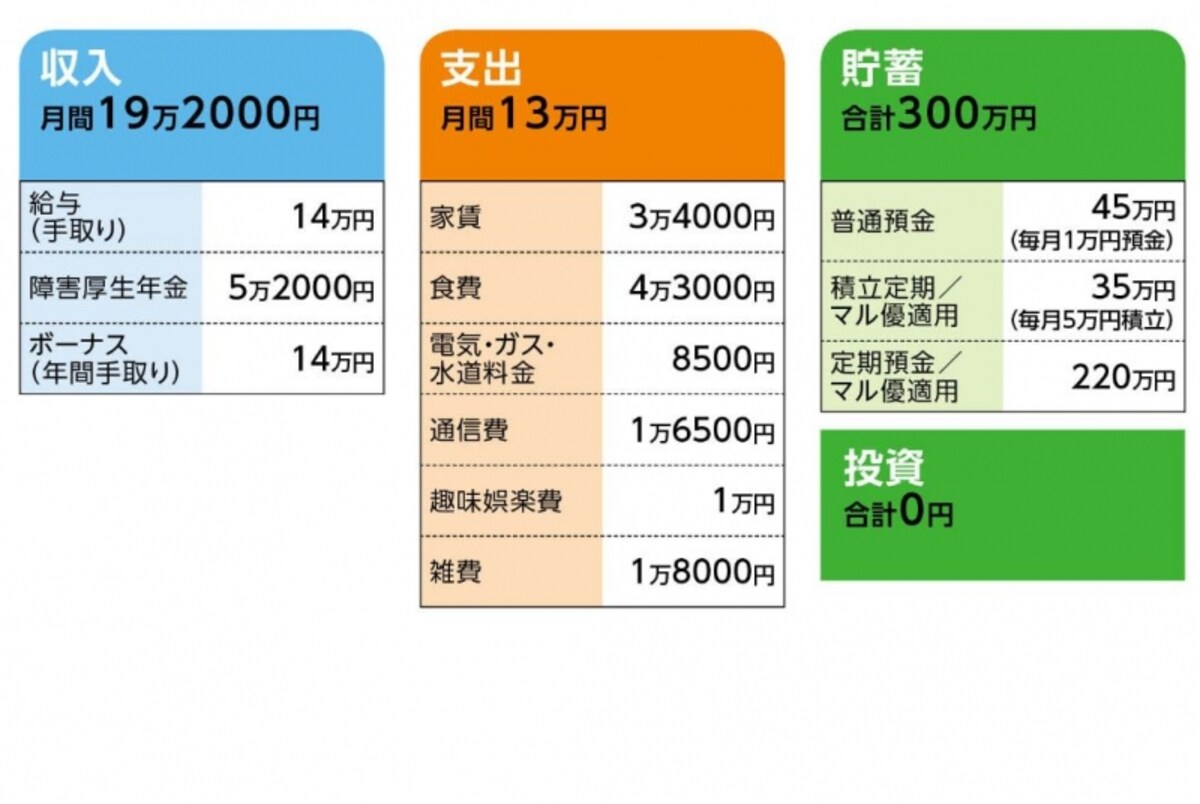 「光と影」さんの家計収支データ