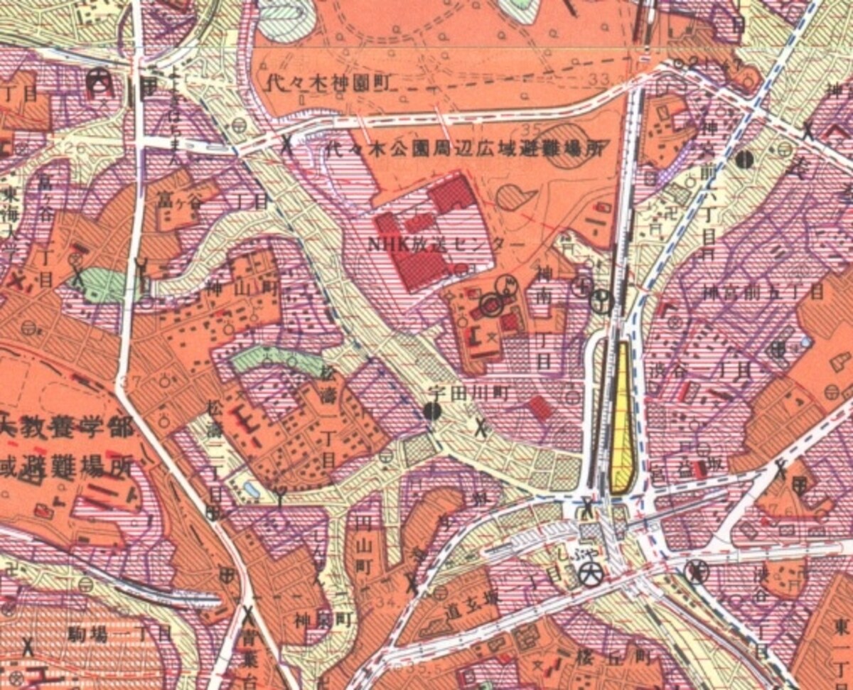 土地条件図