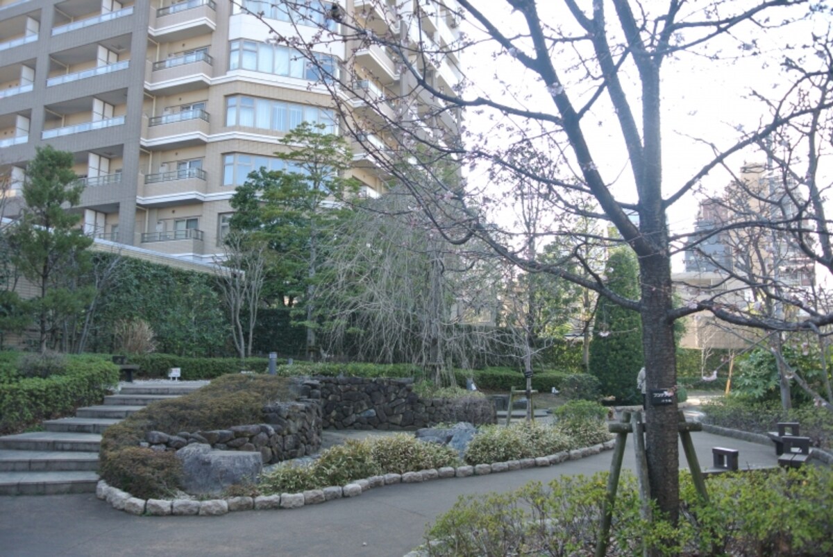 「ザ・ライオンズ上野の森」