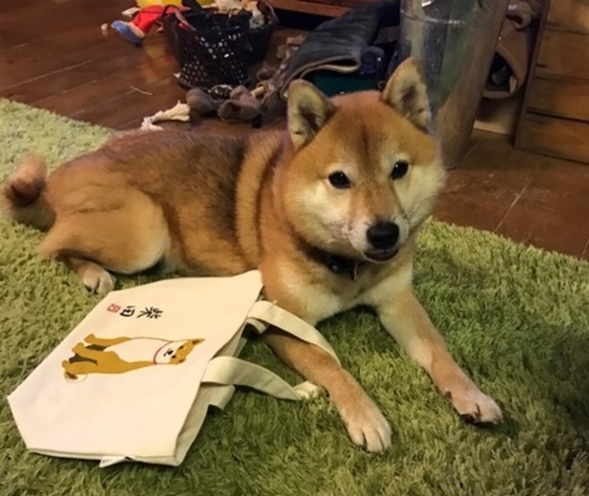 仕事中も1時間に1度は休憩するのが効率を上げるコツ