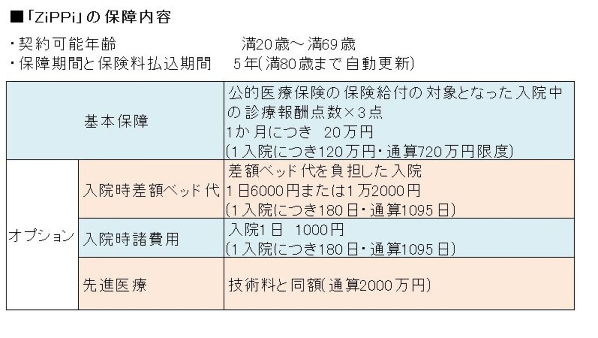 保障内容