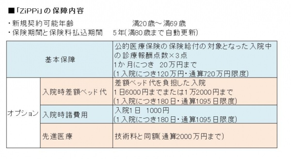 保障内容