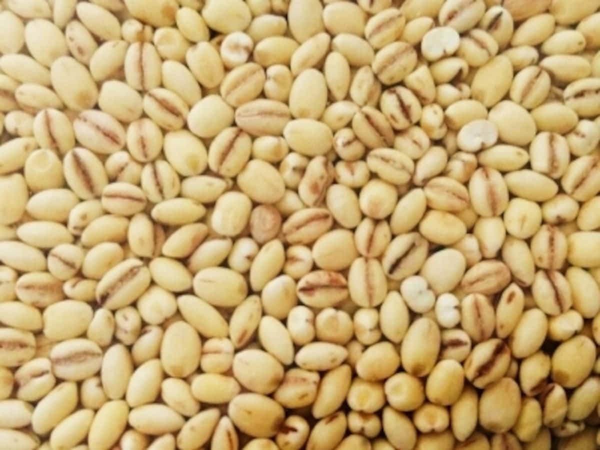 話題のもち麦はプチッモチッとした食感です